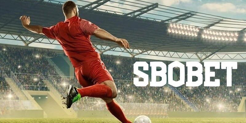 79king4 đăng nhập mậu binh uy tín