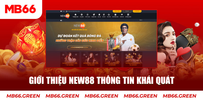 79king4 c1 gà chọi