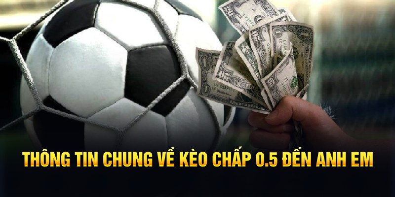 79king4 nổ hũ b29 là gì