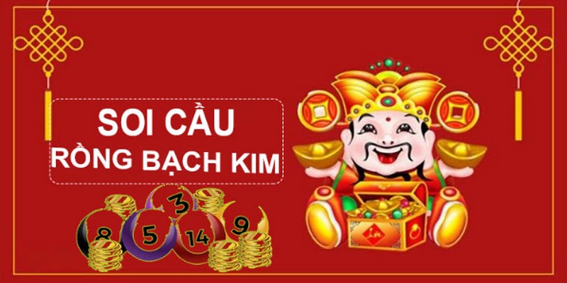 79king4 gà chọi
