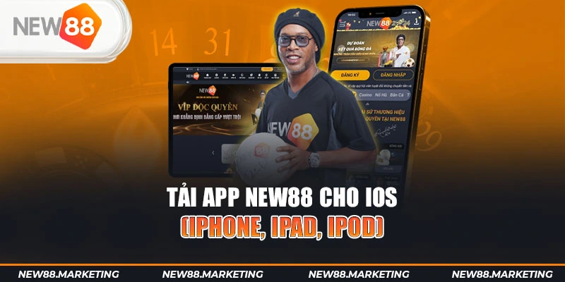 79king4 gà chọi cậu thanh