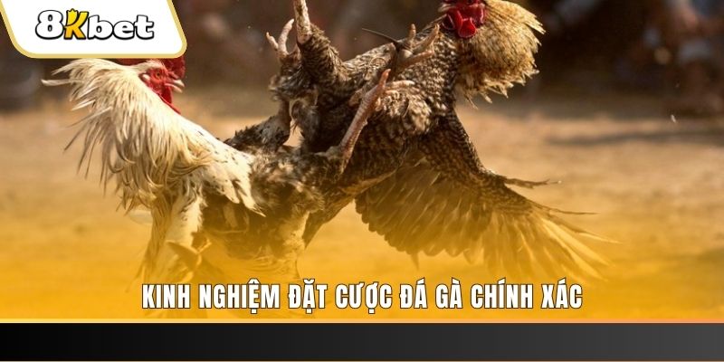 79king4 xổ số thứ bảy hàng tuần