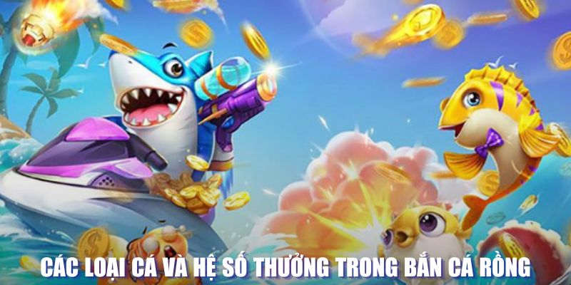 79king4 đăng nhập lô đề tặng tiền