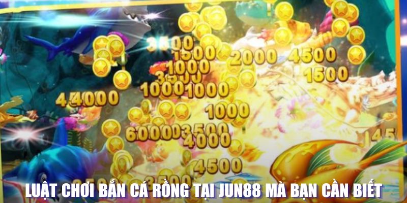 79king4 xổ số đài hà nội