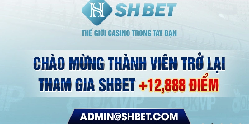 79king4 789bet có bao nhiêu sảnh game bài 3d ？