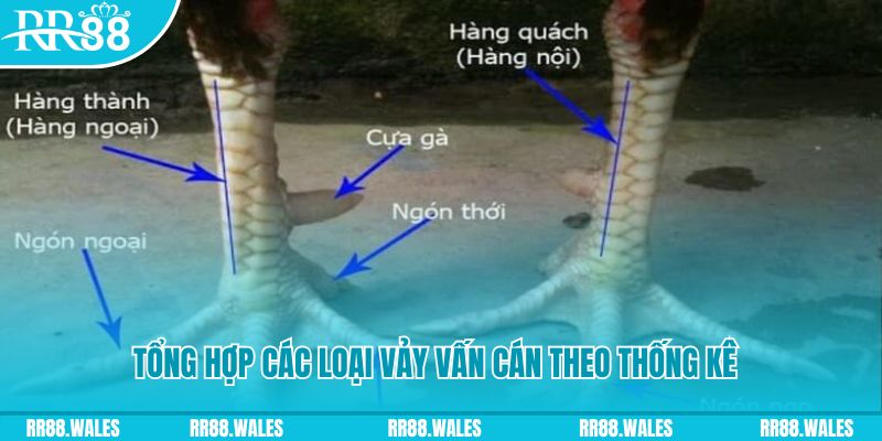 79king4 HB Điện Tử