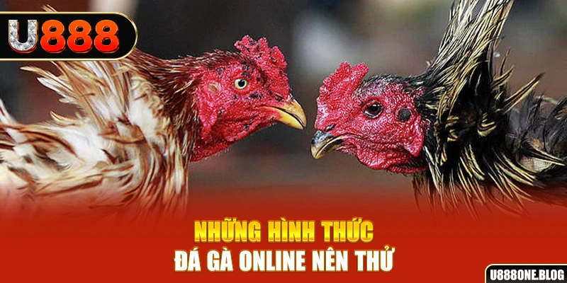 79king4 nổ hũ ai là gì