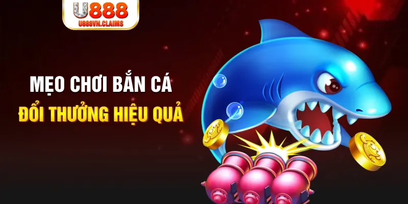 79king4 gà chọi cam ranh