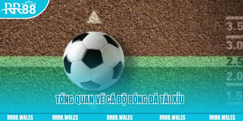 79king4 đăng nhập roulette online