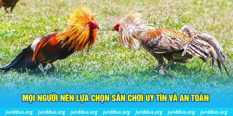 79king4 Cỡ bảy