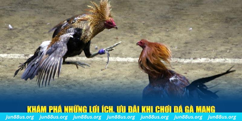 79king4 đăng nhập liêng live