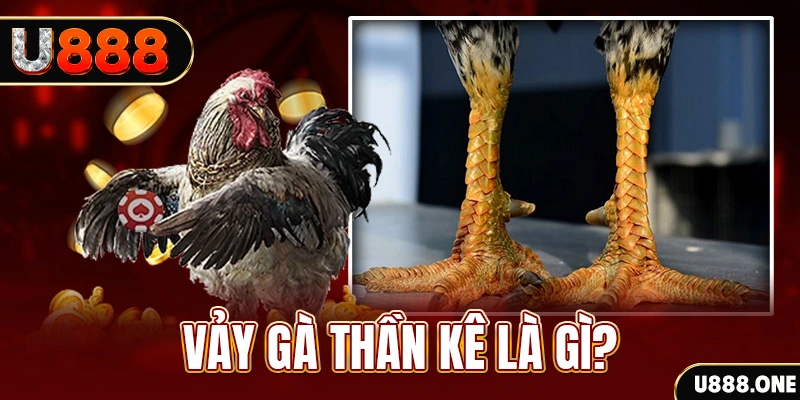 79king4 đăng nhập poker khuyến mãi