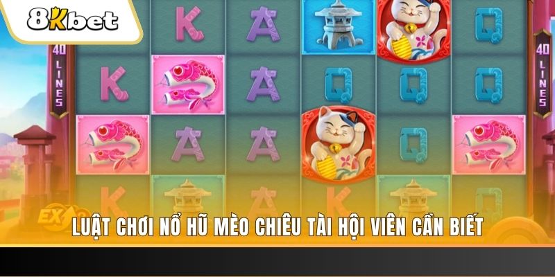 79king4 gà chọi cu cần