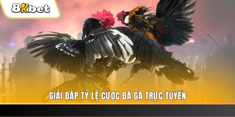 79king4 ban ca online