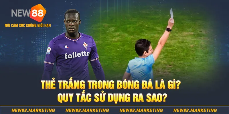 79king4 đăng nhập sòng bạc hôm nay
