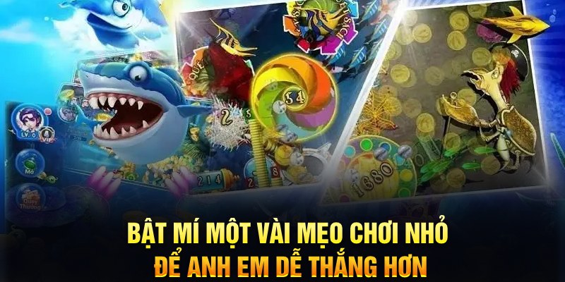 79king4 xổ số thứ ba