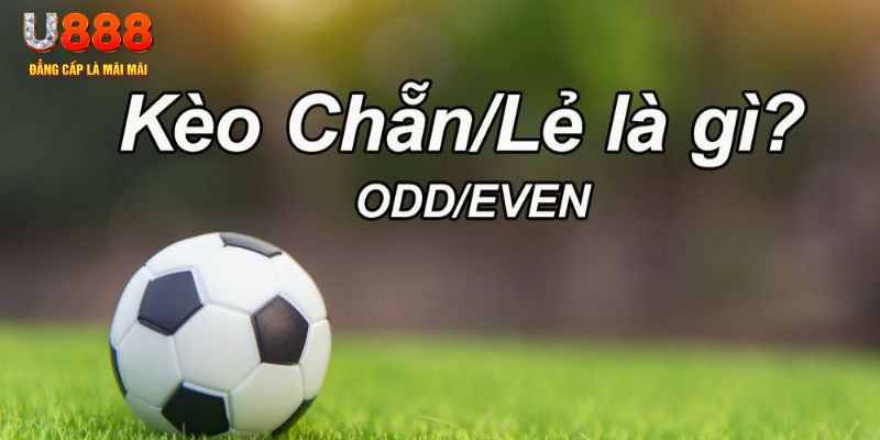 79king4 đăng nhập sòng bạc 2024