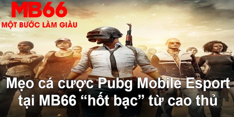 79king4 đăng nhập nổ hũ mới nhất