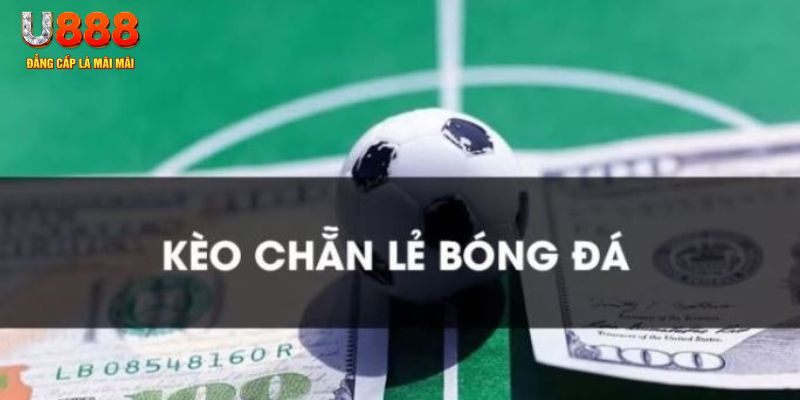 79king4 gà chọi c1.tv
