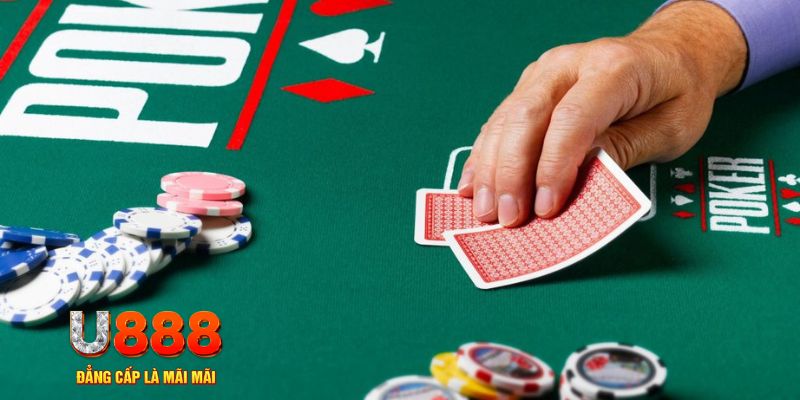 79king4 đá gà 88