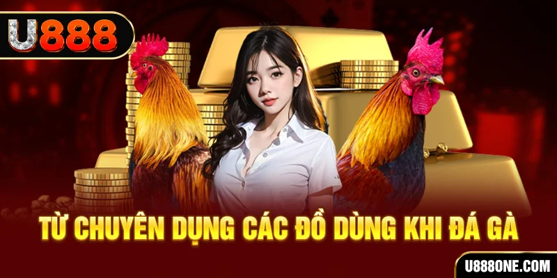 79king4 đá gà trực tiếp campuchia